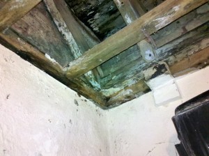 Damp resulted in a ceiling collapse in the toilets.